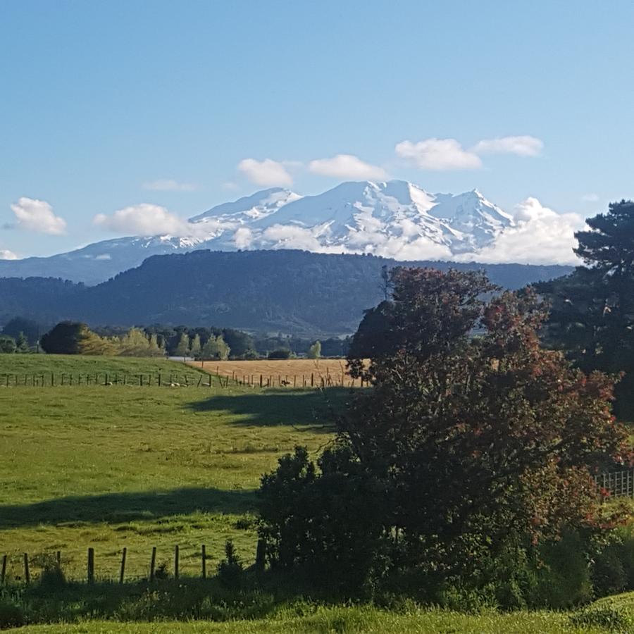 Beech Tree Lodge Ohakune Kültér fotó