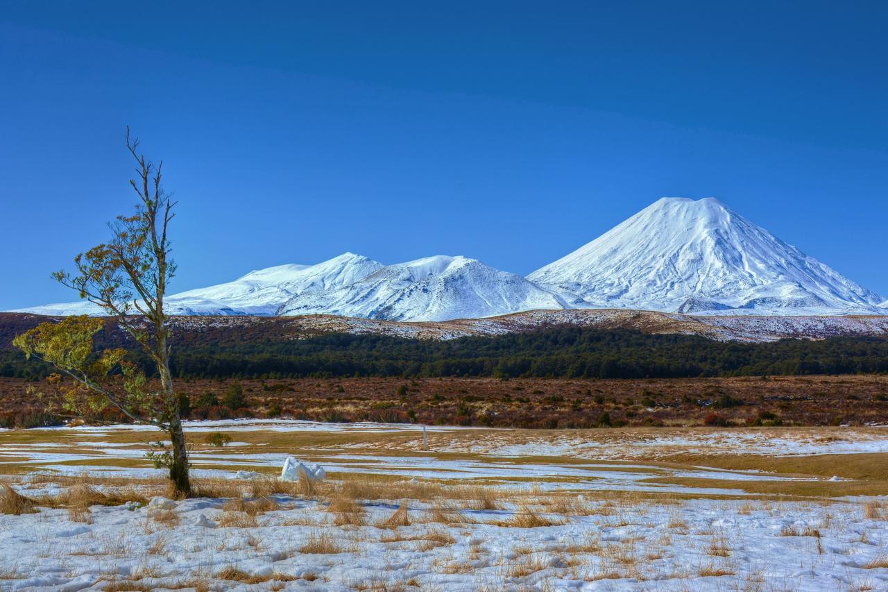 Beech Tree Lodge Ohakune Kültér fotó